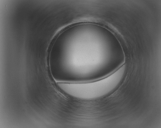 X0000073521222200607310941