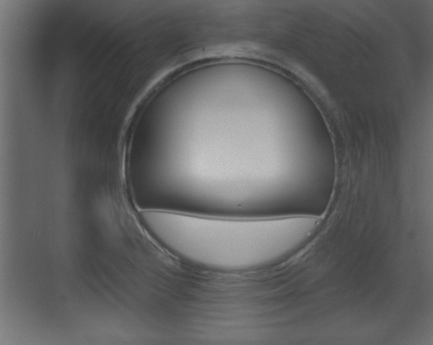 X0000073521224200607310941