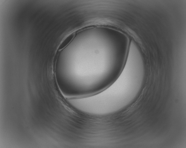 X0000073521226200607310941