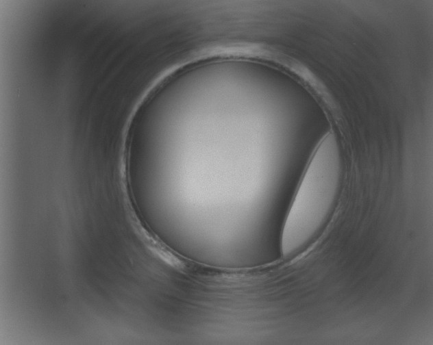 X0000073521232200607310941