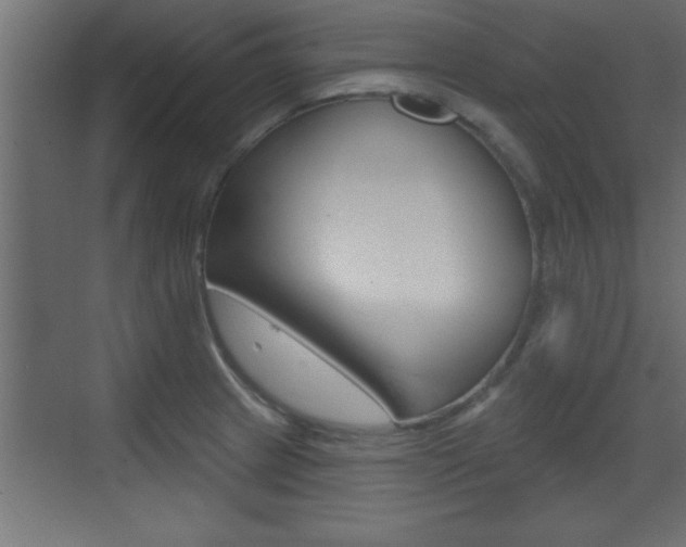 X0000073521233200607310941