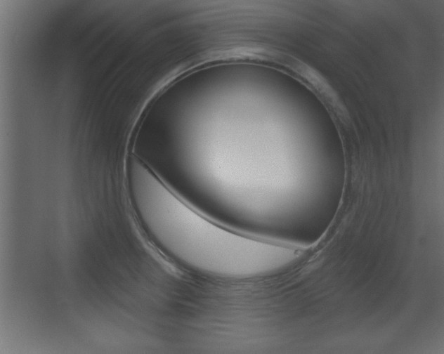 X0000073521234200607310941
