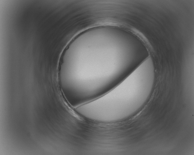 X0000073521236200607310941