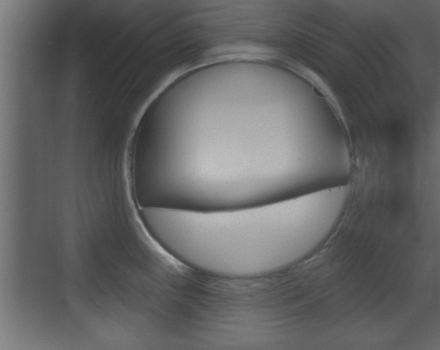 X0000073521243200607310941