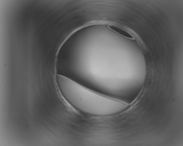 X0000073521244200607310941