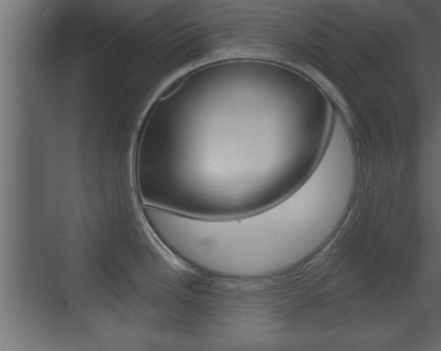X0000073521246200607310941