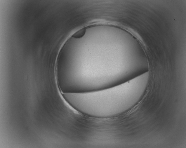 X0000073521247200607310941