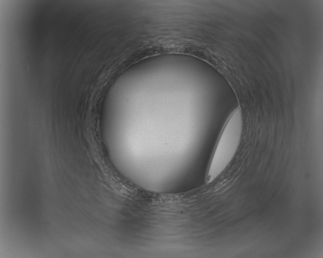 X0000073521249200607310941