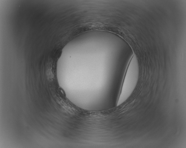 X0000073521250200607310941