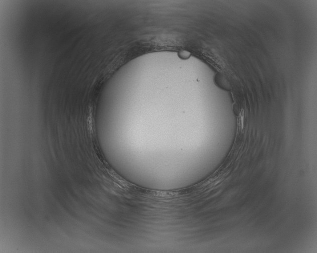 X0000073521251200607310941