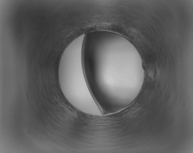 X0000073521252200607310941