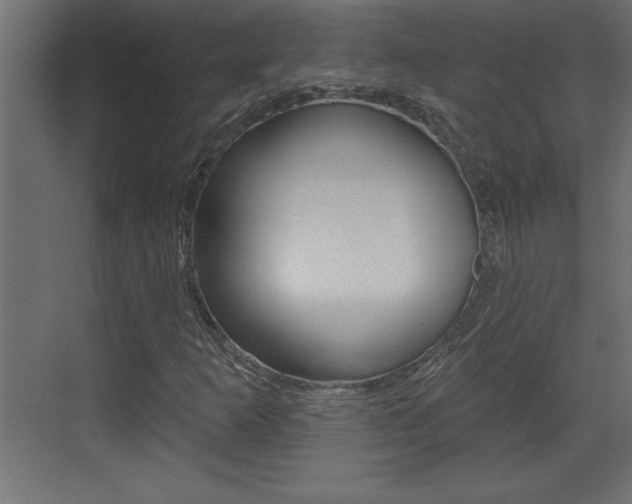 X0000073521253200607310941