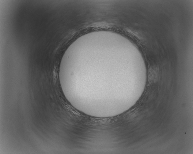 X0000073521254200607310941