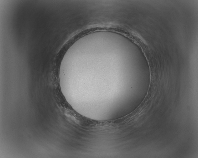 X0000073521256200607310940
