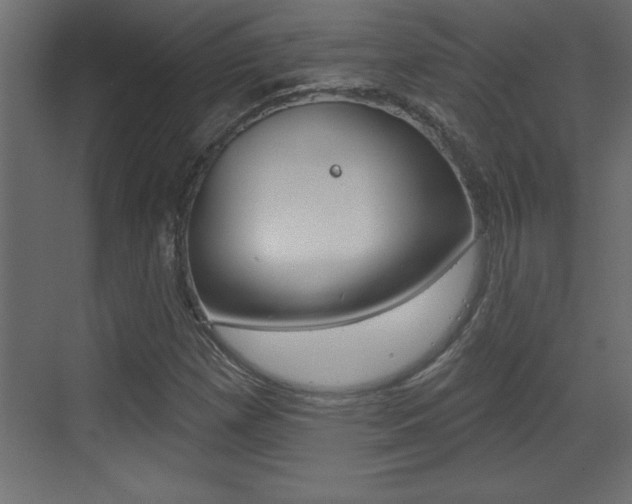 X0000073521257200607310940