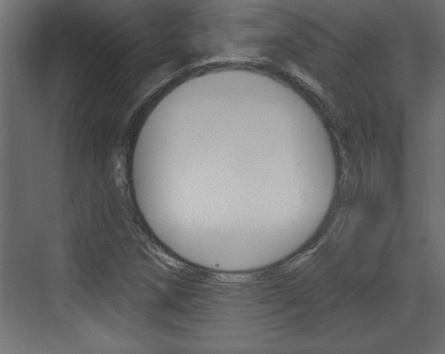 X0000073521258200607310940