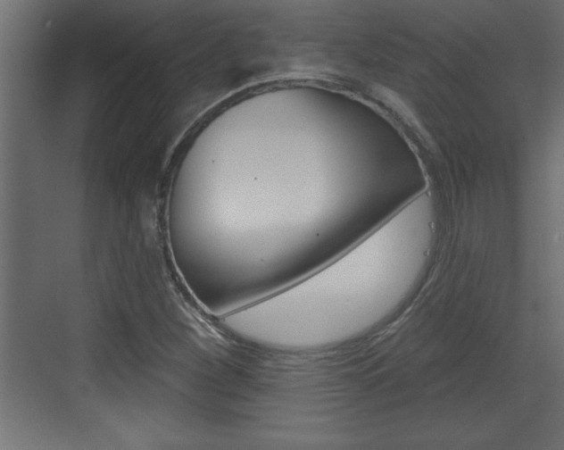 X0000073521260200607310940