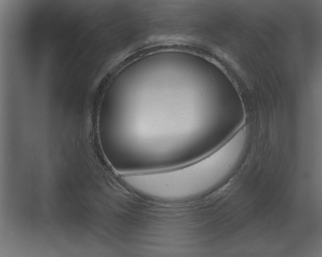 X0000073521261200607310940