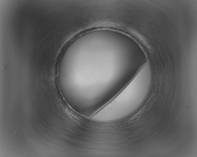 X0000073521264200607310940