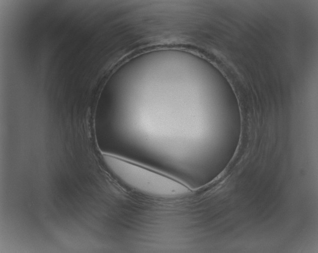 X0000073521265200607310940