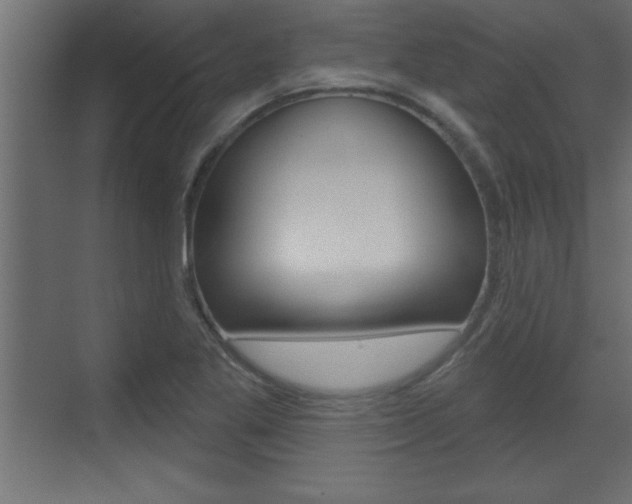 X0000073521269200607310940