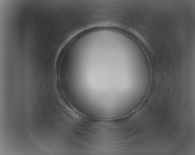 X0000073521270200607310940