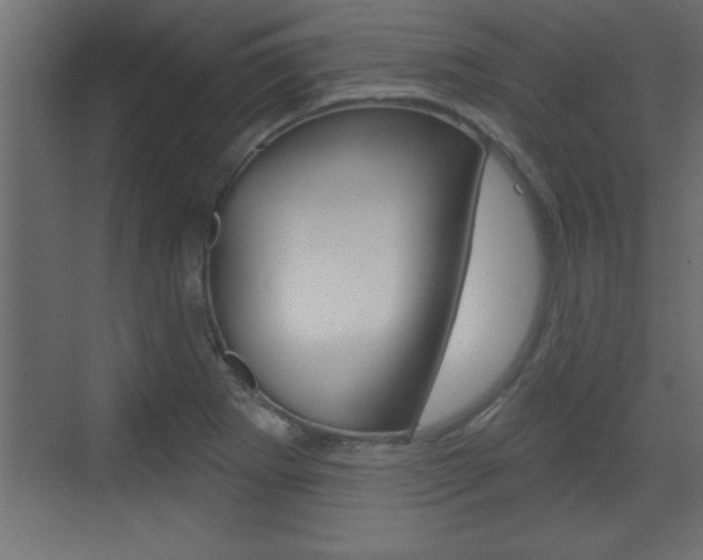 X0000073521273200607310940