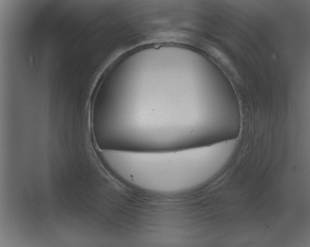 X0000073521275200607310940