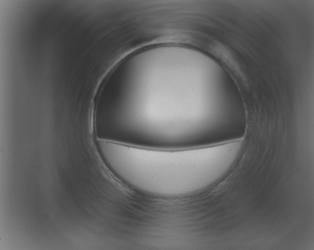 X0000073521276200607310940