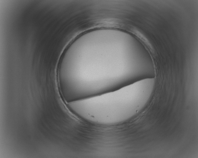 X0000073521283200607310940