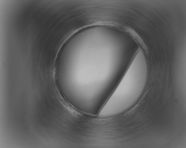 X0000073521284200607310940