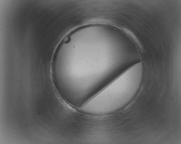 X0000073521288200607310940