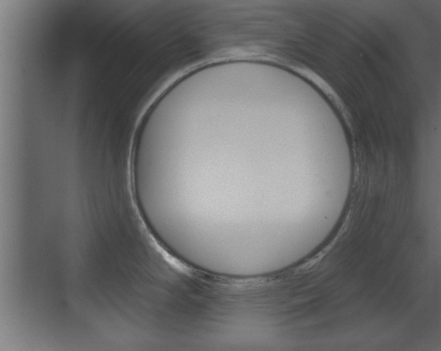 X0000073521294200607310940