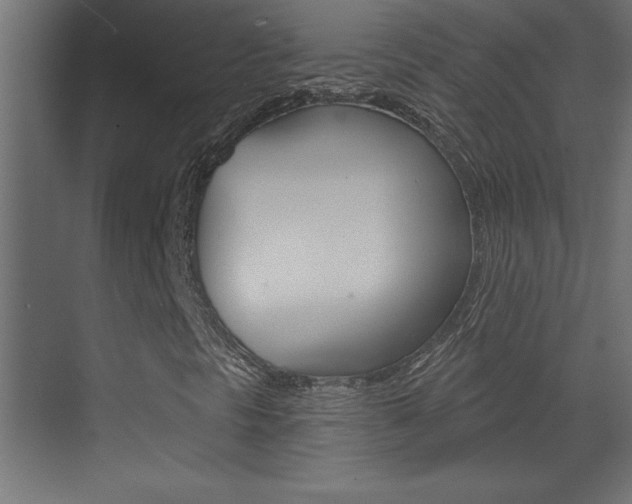 X0000073521297200607310939