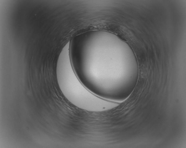 X0000073521298200607310939