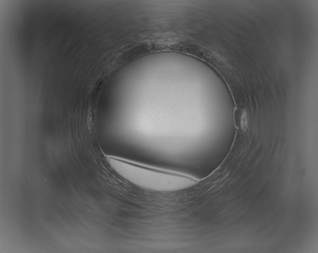 X0000073521299200607310939