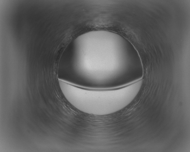 X0000073521300200607310939