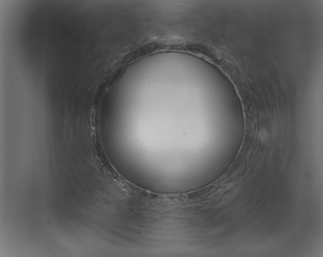 X0000073521301200607310939