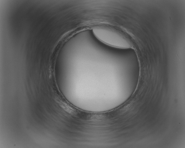 X0000073521306200607310939