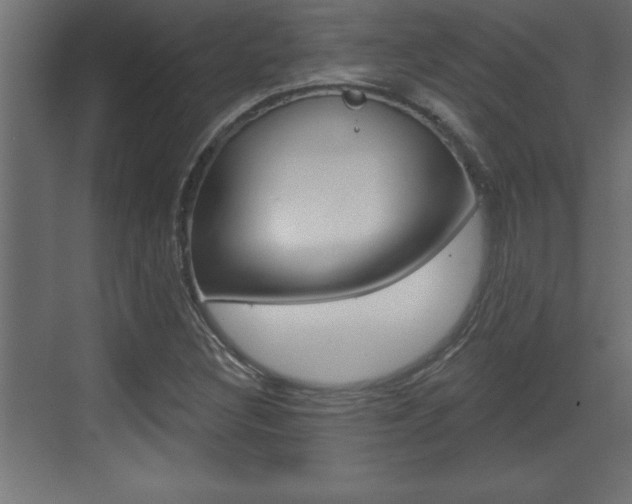 X0000073521308200607310939
