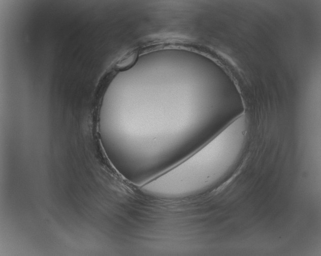 X0000073521309200607310939