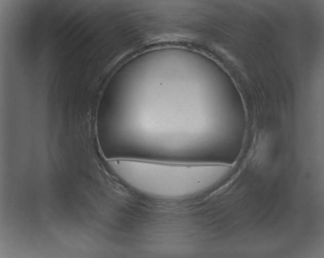 X0000073521313200607310939