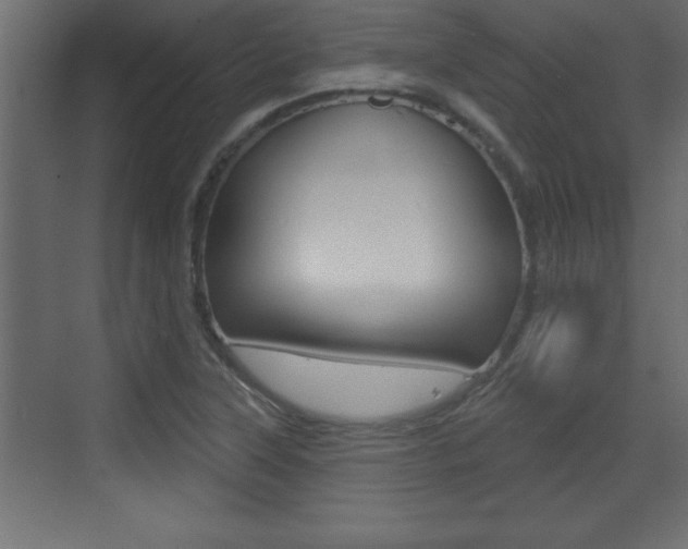 X0000073521315200607310939