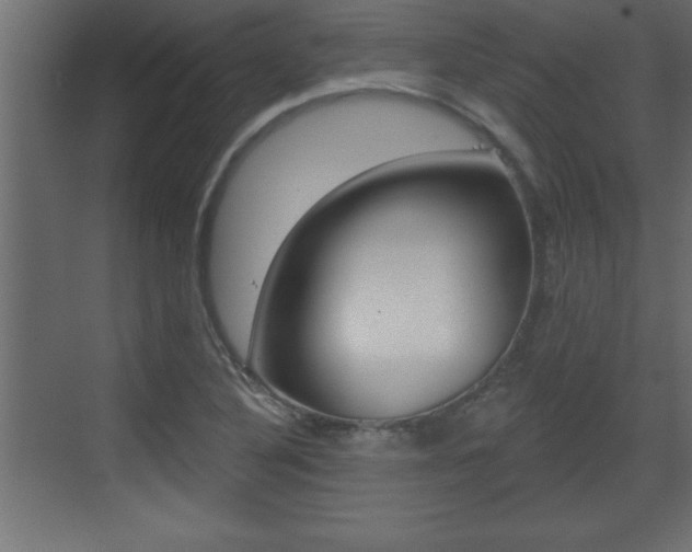 X0000073521316200607310939