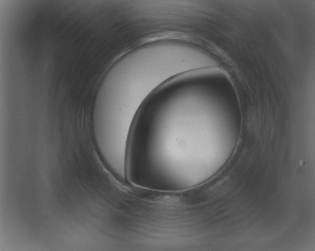 X0000073521321200607310939
