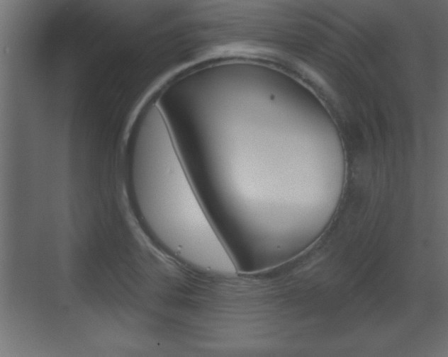 X0000073521323200607310939