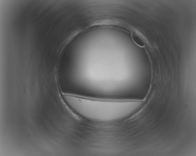 X0000073521329200607310940