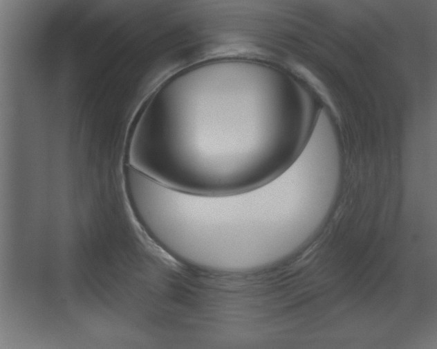 X0000073521330200607310940