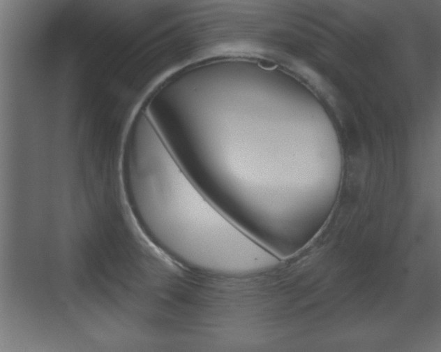 X0000073521331200607310940