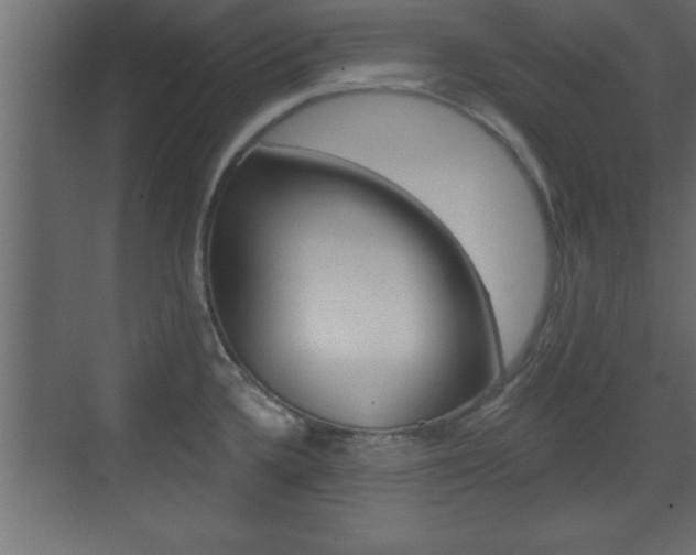X0000073521336200607310940